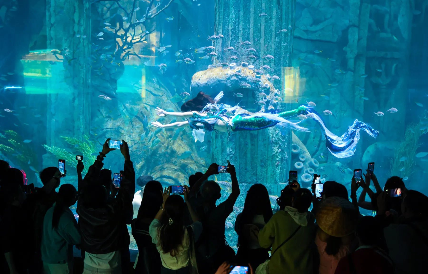 Аквариум Sea World в VinWonders Нячанг