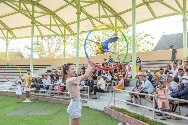 Птица выполняет трюк на сцене Bird Show